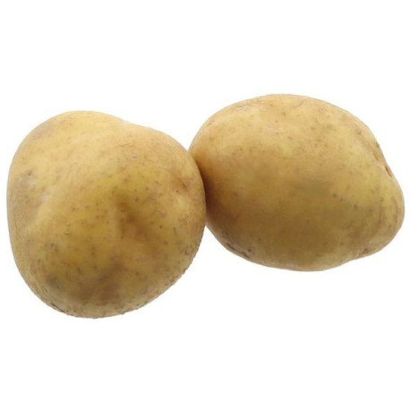 PDT JELLY LAVEE GROSBUSCH 12,5KG